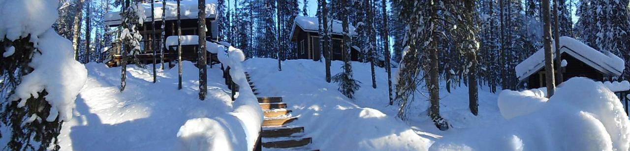 Villa Luppokumpu Kuivasalmi Exterior foto